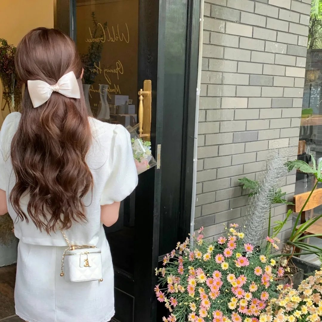 天鹅公主的圣诞节